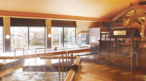 東京周邊特色小眾溫泉?jiǎng)俚?日本本地人的隱逸之選